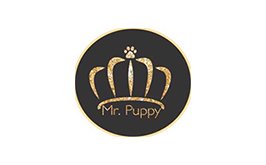 Mr Puppy